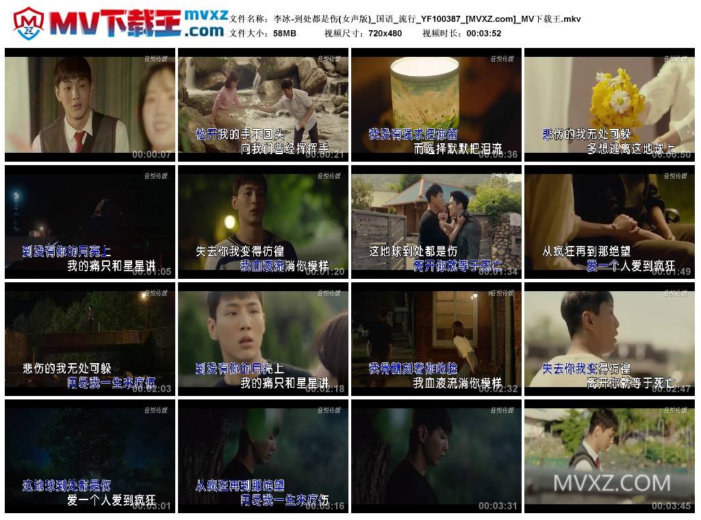 李冰-到处都是伤(女声版)_国语_流行_YF100387